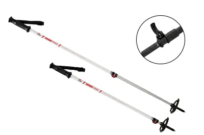 Telescopic ski pole